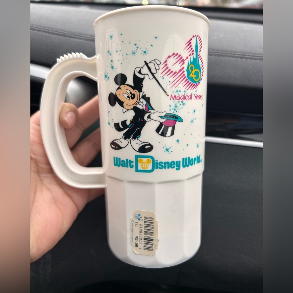 Disney 20 Year Anniversary